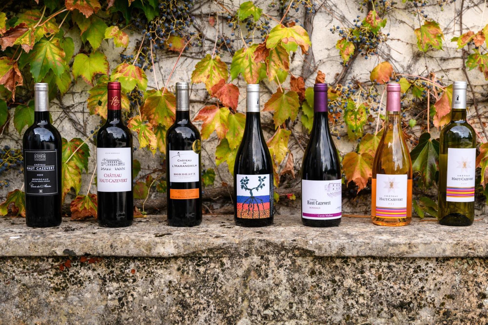 Chateau Haut Cazevert Blasimon Exterior foto